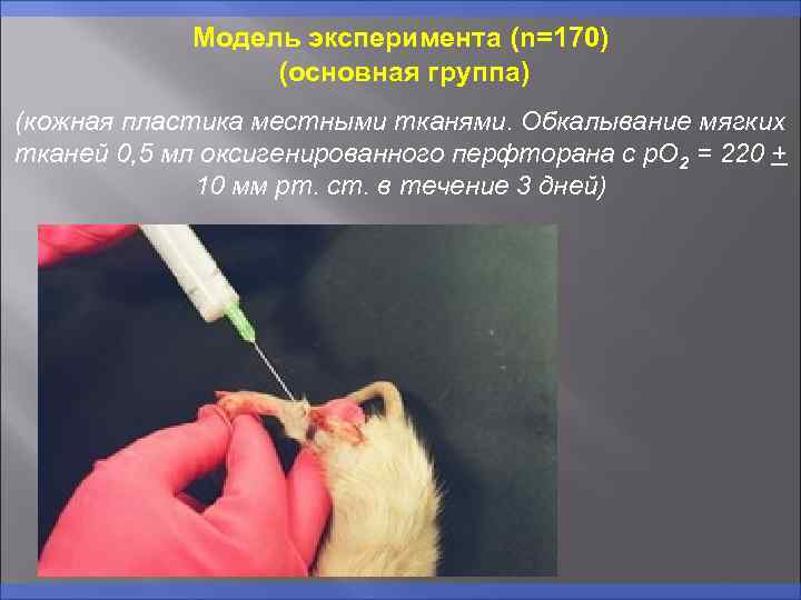 Модель эксперимента (n=170) (основная группа) (кожная пластика местными тканями. Обкалывание мягких тканей 0, 5