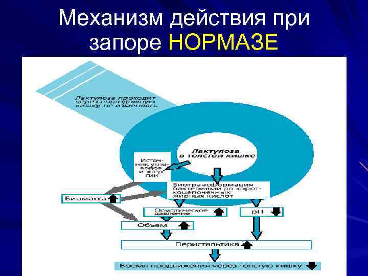 Механизм действия при запоре НОРМАЗЕ 