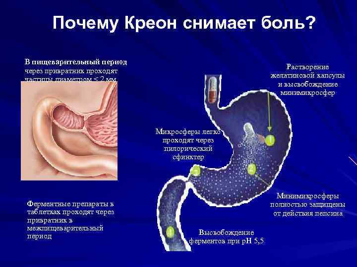 Клиническая картина хронического панкреатита