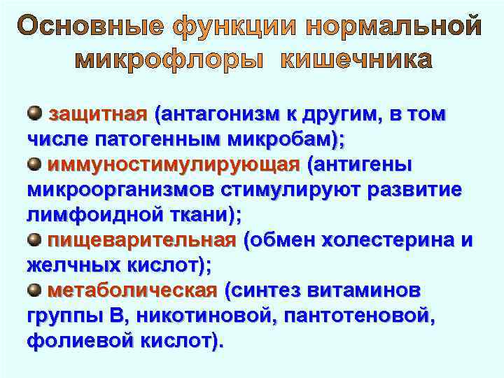  защитная (антагонизм к другим, в том числе патогенным микробам); иммуностимулирующая (антигены микроорганизмов стимулируют