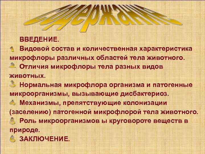 ВВЕДЕНИЕ. Видовой состав и количественная характеристика микрофлоры различных областей тела животного. Отличия микрофлоры тела