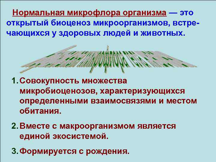  Нормальная микрофлора организма — это открытый биоценоз микроорганизмов, встре чающихся у здоровых людей