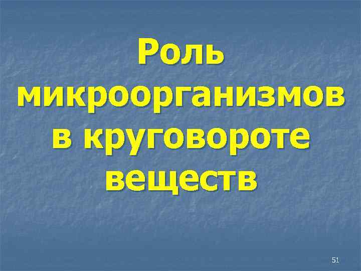 Роль микроорганизмов в круговороте веществ 51 