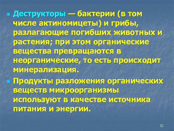 n n Деструкторы — бактерии (в том числе актиномицеты) и грибы, разлагающие погибших животных