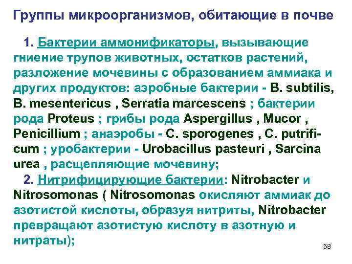 Группы микроорганизмов, обитающие в почве 1. Бактерии аммонификаторы, вызывающие гниение трупов животных, остатков растений,