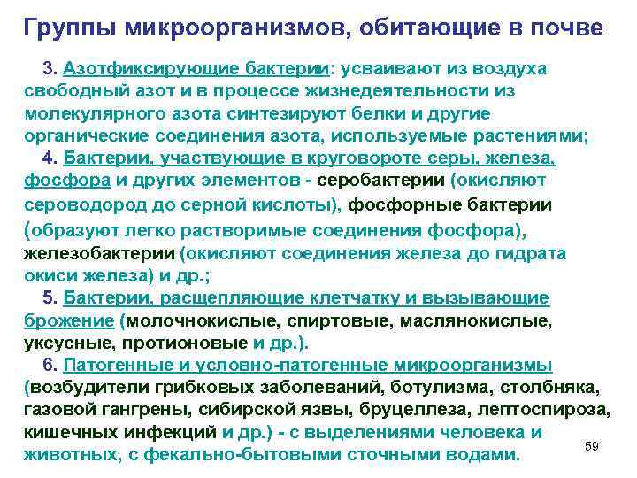 Группы микроорганизмов, обитающие в почве 3. Азотфиксирующие бактерии: усваивают из воздуха свободный азот и