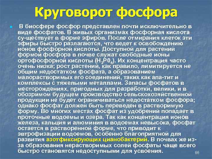 Круговорот фосфора n В биосфере фосфор представлен почти исключительно в виде фосфатов. В живых