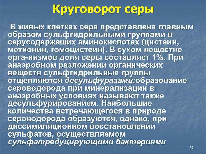 Круговорот серы В живых клетках сера представлена главным образом сульфгидрильными группами в серусодержащих аминокислотах