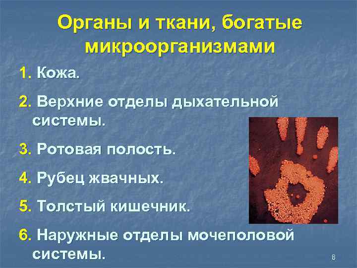 Органы и ткани, богатые микроорганизмами 1. Кожа. 2. Верхние отделы дыхательной системы. 3. Ротовая
