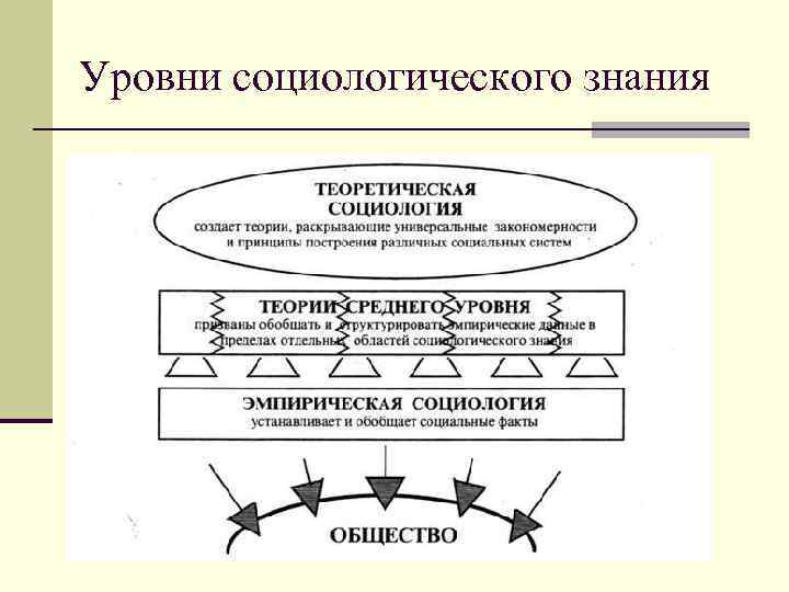 Курсовой проект по социологии