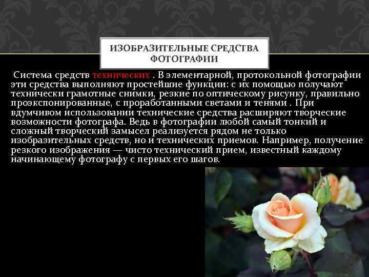 ИЗОБРАЗИТЕЛЬНЫЕ СРЕДСТВА ФОТОГРАФИИ Система средств технических. В элементарной, протокольной фотографии эти средства выполняют простейшие