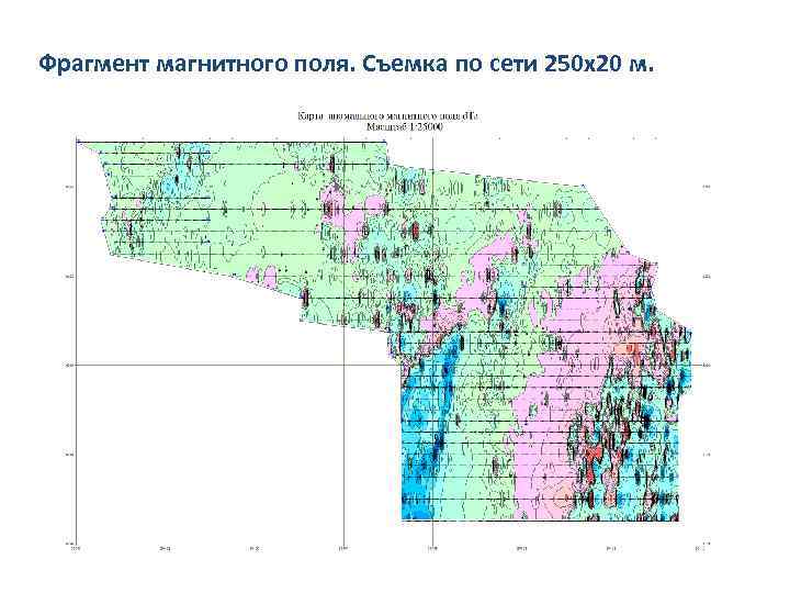 Фрагмент магнитного поля. Съемка по сети 250 х20 м. 