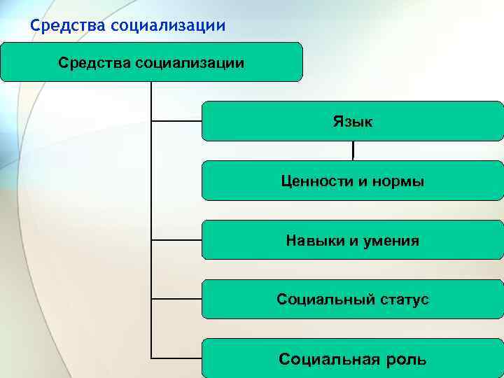 Средства социализации Язык Ценности и нормы Навыки и умения Социальный статус Социальная роль 