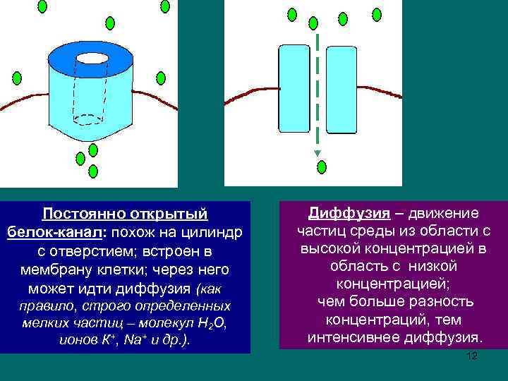 Постоянных открытий