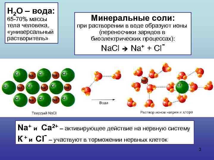 Н 2 О – вода: 65 -70% массы тела человека, «универсальный растворитель» Минеральные соли: