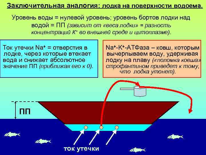 Заключительная аналогия: лодка на поверхности водоема. Уровень воды = нулевой уровень; уровень бортов лодки