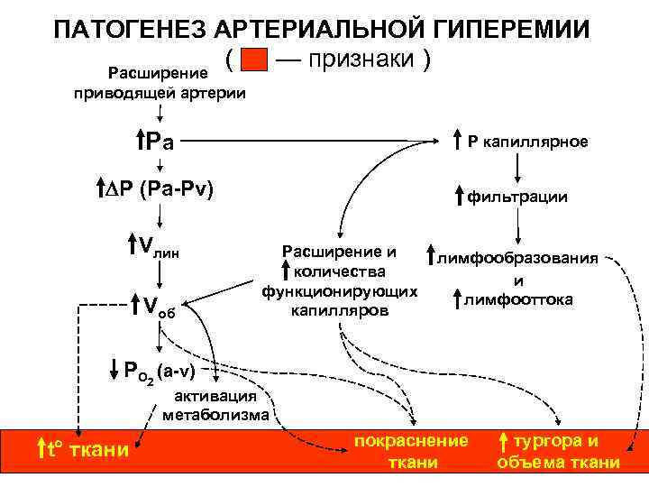 ПАТОГЕНЕЗ АРТЕРИАЛЬНОЙ ГИПЕРЕМИИ ( — признаки ) Расширение приводящей артерии Ра Р капиллярное Р