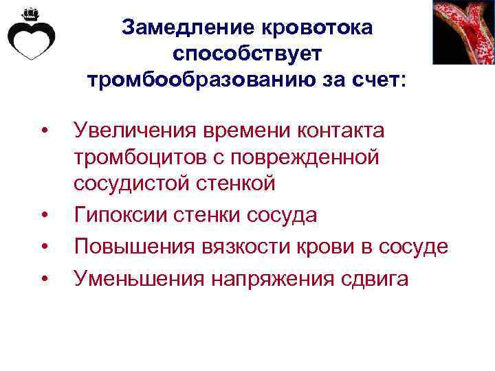 Замедление кровотока способствует тромбообразованию за счет: • • Увеличения времени контакта тромбоцитов с поврежденной