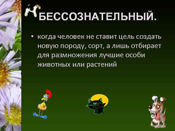 БЕССОЗНАТЕЛЬНЫЙ. • когда человек не ставит цель создать новую породу, сорт, а лишь отбирает