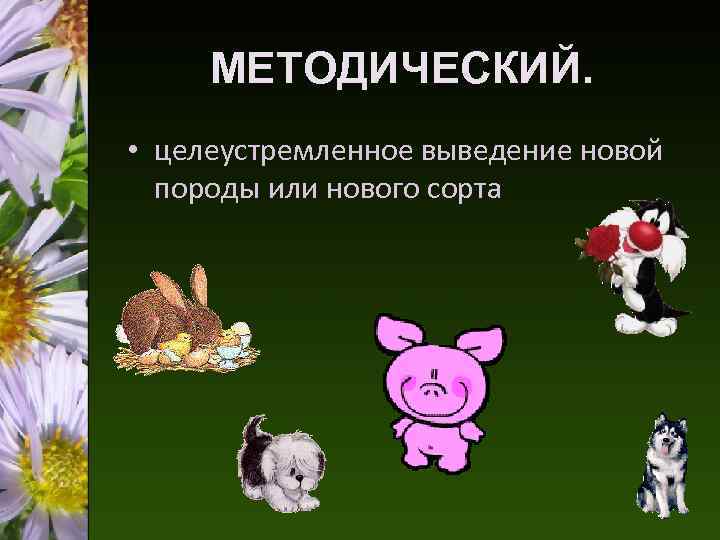 МЕТОДИЧЕСКИЙ. • целеустремленное выведение новой породы или нового сорта 