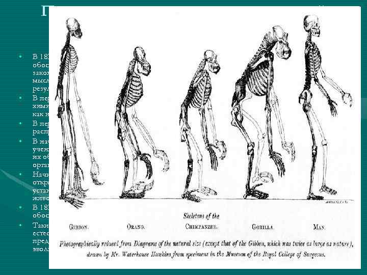 Предпосылки создания эволюционной теории Ч. Дарвина • Научные предпосылки • • В 1830 г.