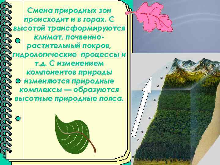 Смена природных происходит. Происходит смена природных зон. Причина смены природных зон. Почему происходит схема природных зон. Почему меняются природные зоны.