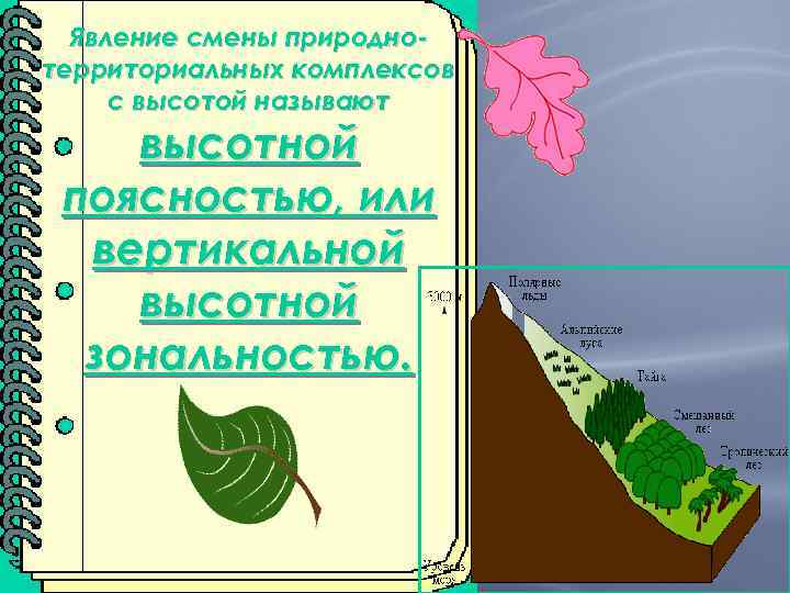 Явление смены природнотерриториальных комплексов с высотой называют высотной поясностью, или вертикальной высотной зональностью. 
