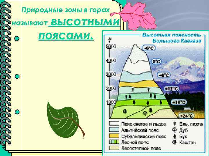 Формирования природных зон. Природные зоны в горах. Природные пояса в горах. Схема природных зон в горах. Природные зоны России горы.