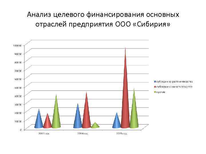 Анализ целевого финансирования основных отраслей предприятия ООО «Сибирия» 