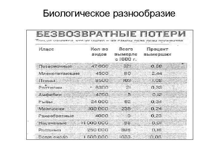 Биологическое разнообразие 