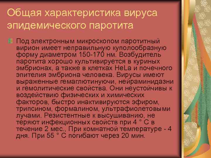 Общая характеристика вируса эпидемического паротита Под электронным микроскопом паротитный вирион имеет неправильную куполообразную форму