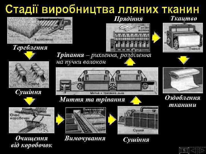 Прядіння Тереблення Сушіння Очищення від коробочок Ткацтво Тріпання – рихлення, розділення на пучки волокон