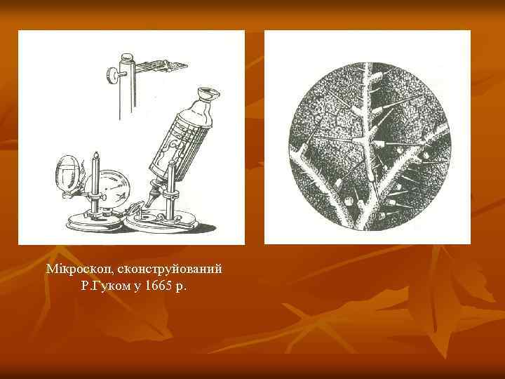 Мікроскоп, сконструйований Р. Гуком у 1665 р. 