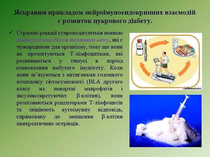 Яскравим прикладом нейроімуноендокринних взаємодій є розвиток цукрового діабету. ü Стресові реакції супроводжуються появою бактеріальних