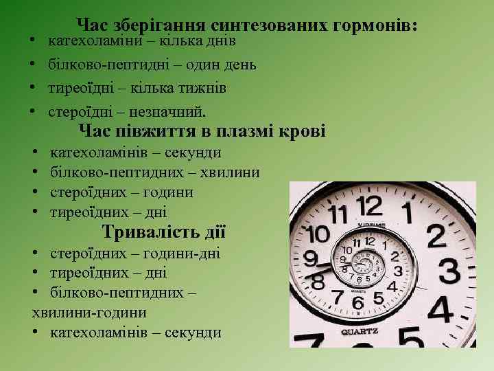  • • Час зберігання синтезованих гормонів: катехоламіни – кілька днів білково-пептидні – один