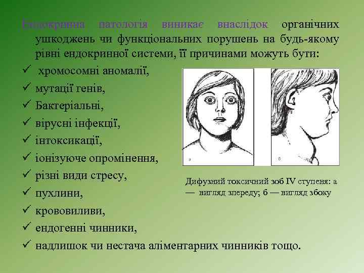 Ендокринна патологія виникає внаслідок органічних ушкоджень чи функціональних порушень на будь-якому рівні ендокринної системи,