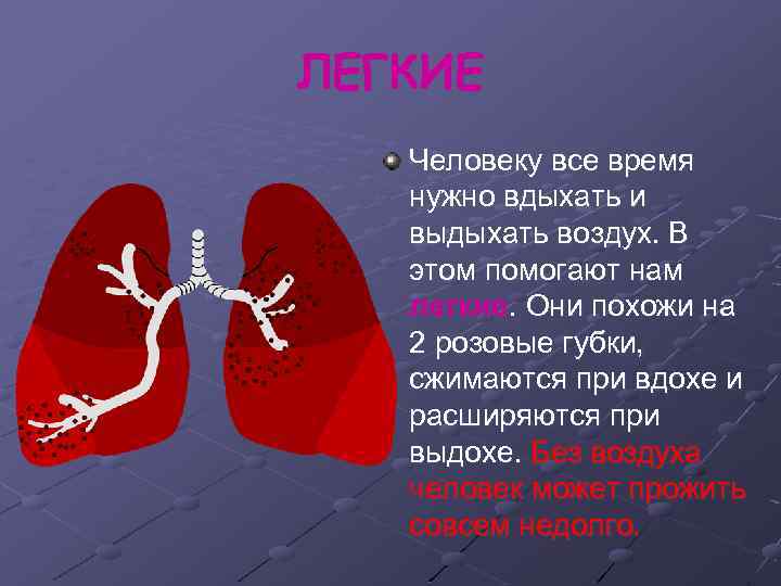 ЛЕГКИЕ Человеку все время нужно вдыхать и выдыхать воздух. В этом помогают нам легкие.