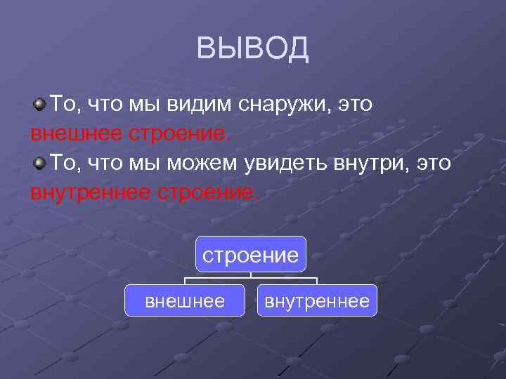 ВЫВОД То, что мы видим снаружи, это внешнее строение. То, что мы можем увидеть