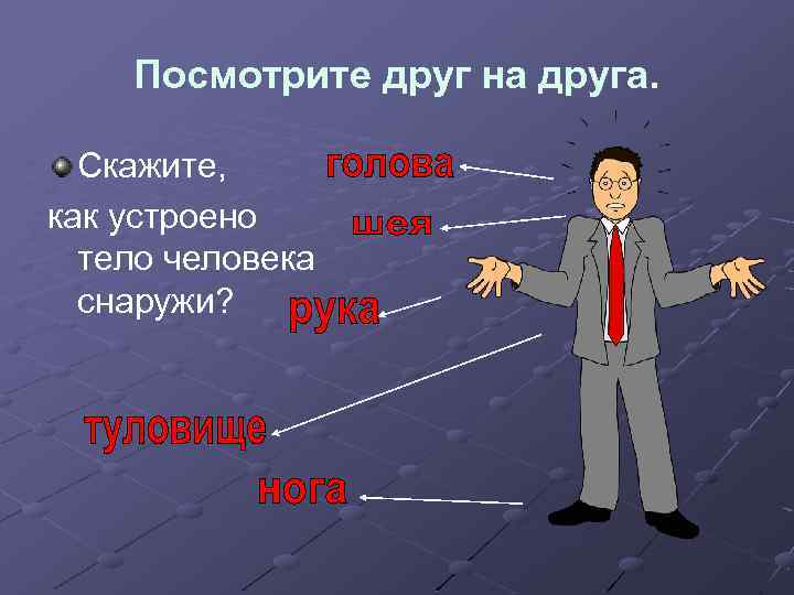 Посмотрите друг на друга. Скажите, как устроено тело человека снаружи? 