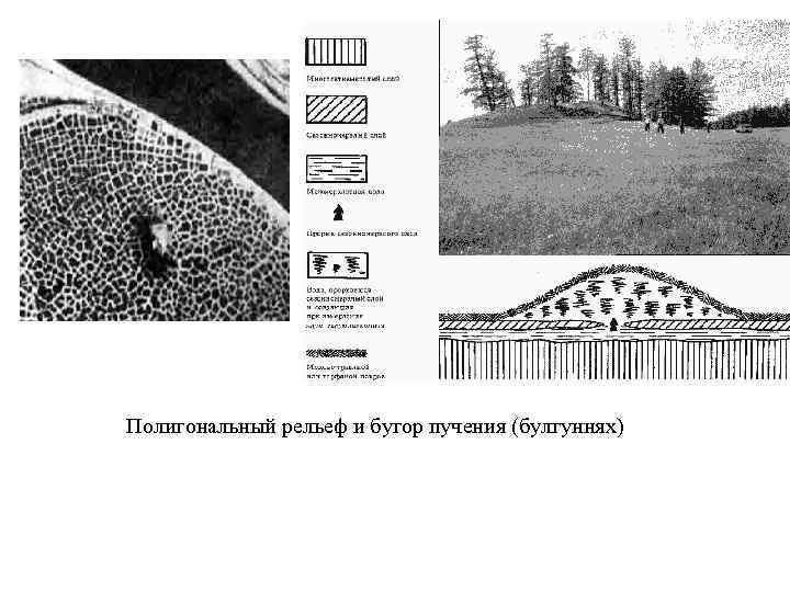 Полигональный рельеф и бугор пучения (булгуннях) 