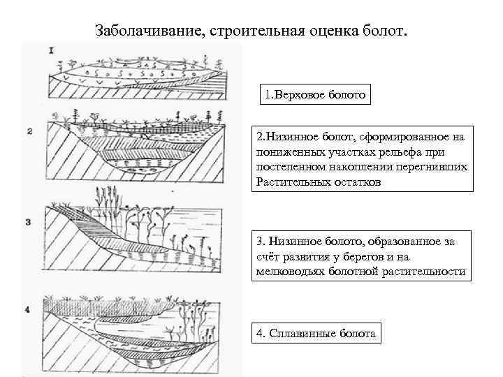 Образование болот схема