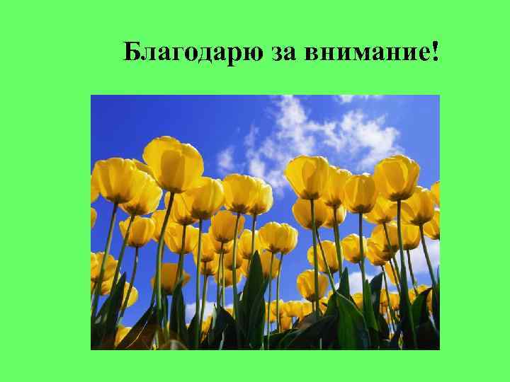 Благодарю за внимание! 