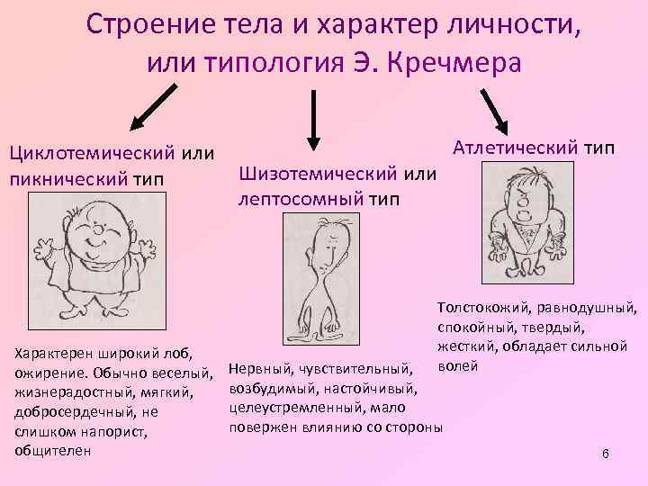Строение тела и характер личности, или типология Э. Кречмера Циклотемический или пикнический тип Характерен