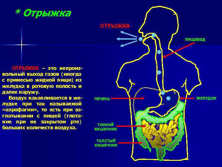 * Отрыжка ЗАГЛАТЫВАНИЕ ВОЗДУХА ОТРЫЖКА ПИЩЕВОД ОТРЫЖКА – это непроизвольный выход газов (иногда с