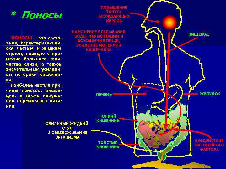 ПОВЫШЕНИЕ ТОНУСА БЛУЖДАЮЩИХ НЕРВОВ * Поносы ПОНОСЫ – это состояния, характеризующиеся частым и жидким