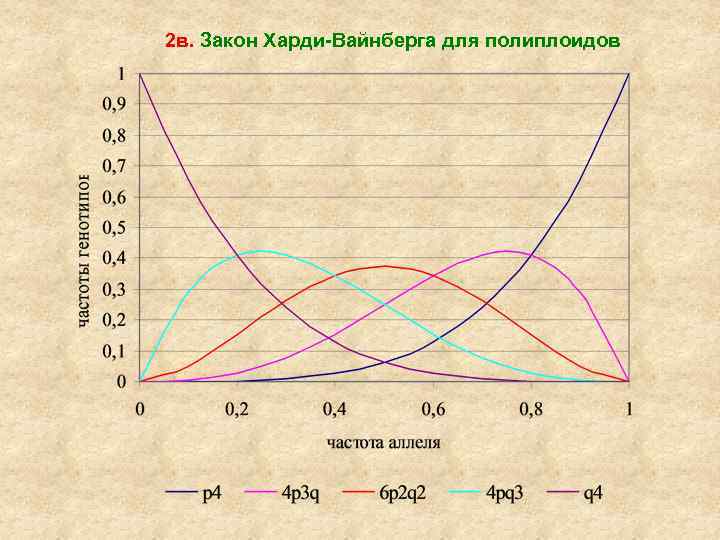 Харди Вайнберг график. Графическое изображение закона Харди-Вайнберга. Равновесие Харди-Вайнберга. Задачи харди вайнберга егэ 2024 биология