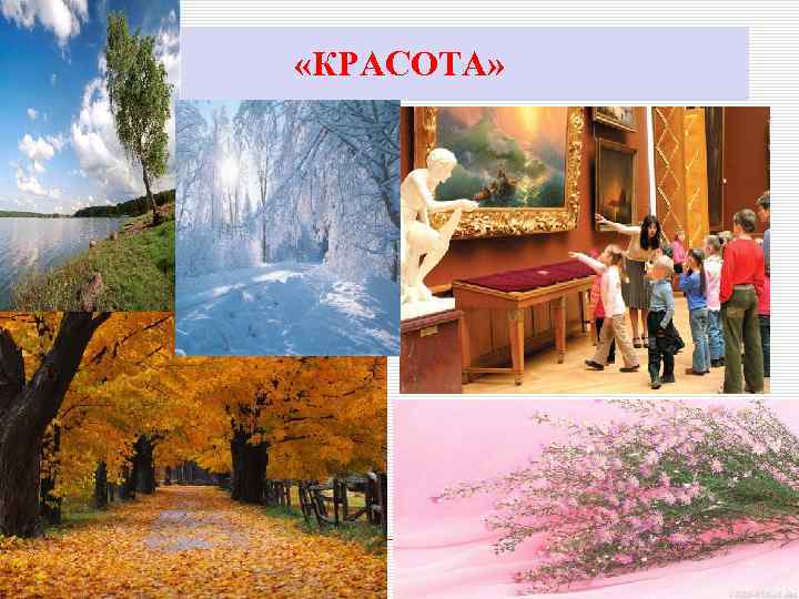  «КРАСОТА» 