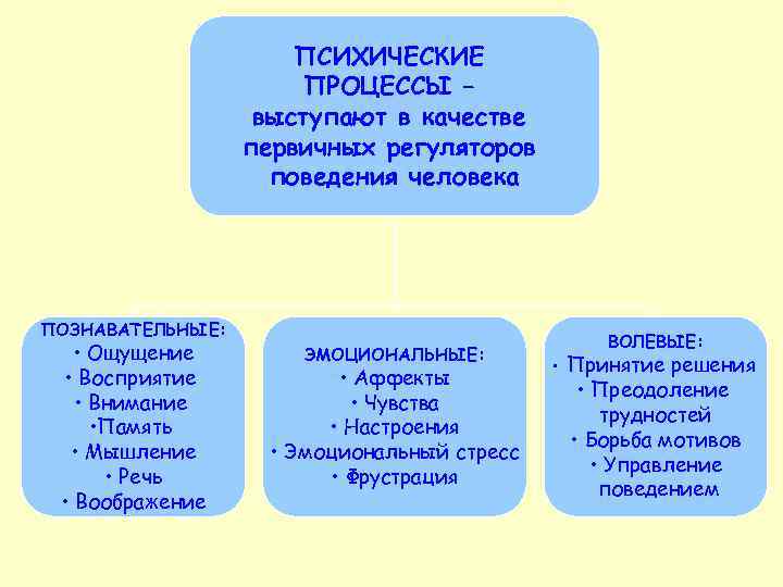 ПСИХИЧЕСКИЕ ПРОЦЕССЫ – выступают в качестве первичных регуляторов поведения человека ПОЗНАВАТЕЛЬНЫЕ: • Ощущение •