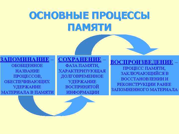 ОСНОВНЫЕ ПРОЦЕССЫ ПАМЯТИ ЗАПОМИНАНИЕ – СОХРАНЕНИЕ – ВОСПРОИЗВЕДЕНИЕ – ОБОБЩЕННОЕ НАЗВАНИЕ ПРОЦЕССОВ, ОБЕСПЕЧИВАЮЩИХ УДЕРЖАНИЕ