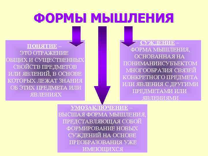 ФОРМЫ МЫШЛЕНИЯ ПОНЯТИЕ – ЭТО ОТРАЖЕНИЕ ОБЩИХ И СУЩЕСТВЕННЫХ СВОЙСТВ ПРЕДМЕТОВ ИЛИ ЯВЛЕНИЙ, В